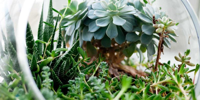 城市配送车辆通行证申请全攻略：货运代理必知的空运与陆运合规指南