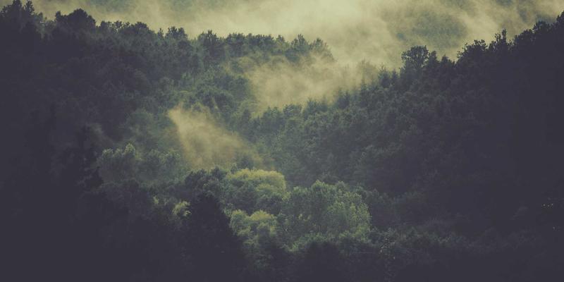 跨境物流暗礁：如何精准筛查受限制交易方与规避空运制裁风险